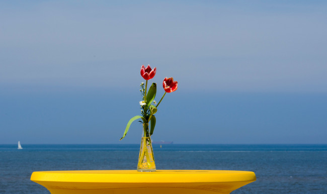 Обои картинки фото цветы, букеты,  композиции, ваза, яхта, парус, море, небо, тюльпаны
