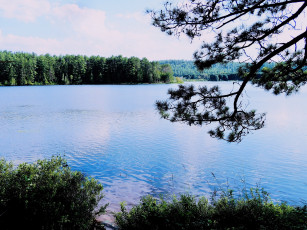 Картинка природа реки озера вода река лето