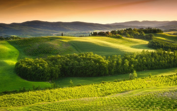 Картинка природа луга холмы рощи виноградники поля