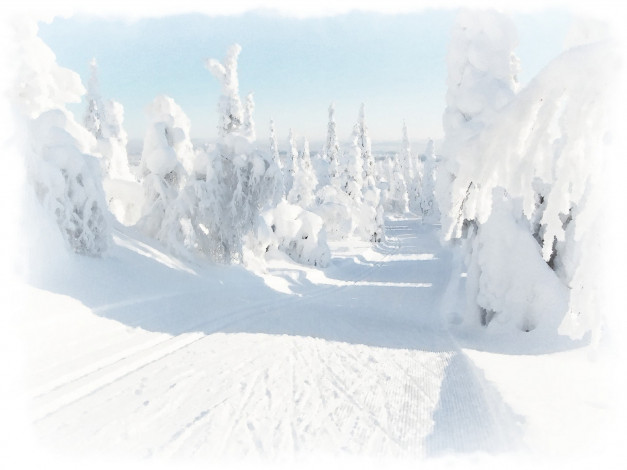 Обои картинки фото зимняя дорога, рисованное, природа, лес, акварель, зимняя, лыжня, зима