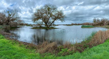 Картинка природа реки озера островок дерево река трава