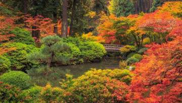 Картинка portland+japanese+garden природа парк portland japanese garden