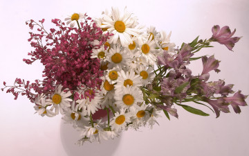 Картинка цветы букеты +композиции букет альстромерия ромашки