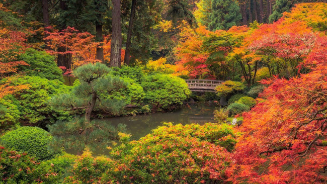 Обои картинки фото portland japanese garden, природа, парк, portland, japanese, garden