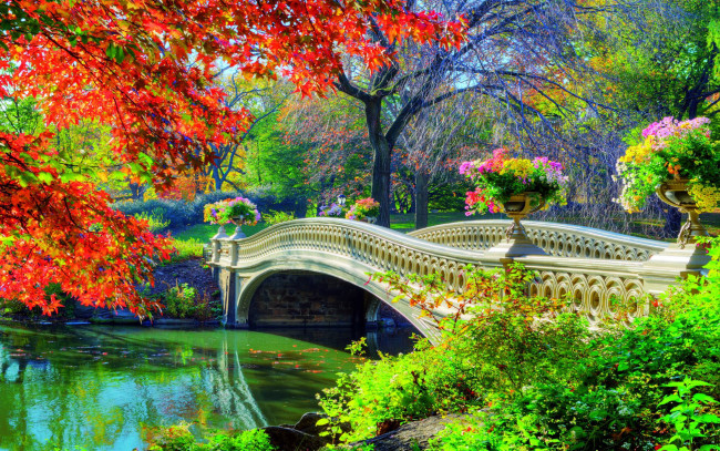 Обои картинки фото природа, парк, водоем, мостик, осень
