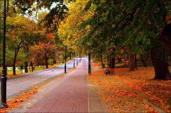 Картинка природа парк аллея деревья осень листья листопад