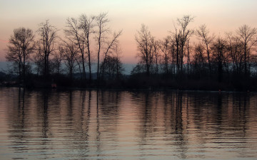 Картинка природа реки озера деревья закат вода