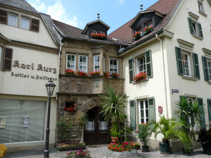 Картинка германия бад зобернхайм города здания дома дом цветник