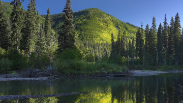 Картинка природа реки озера канада озеро деревья