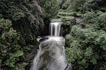Картинка jesmond dene waterfall newcastle england природа водопады кусты лес англия ньюкасл