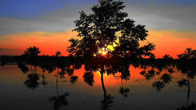 Обои картинки фото природа, восходы, закаты, закат, отражение, деревья, вода