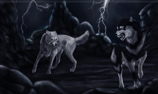 Обои картинки фото рисованные, животные, собаки, молния