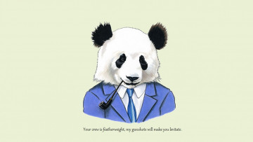Картинка рисованные минимализм панда