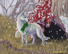 Картинка рисованное животные +сказочные +мифические фон лес волк