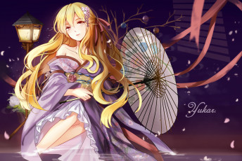 Картинка аниме touhou девушка зонт лепестки арт фонарь ночь elise piclic yakumo yukari