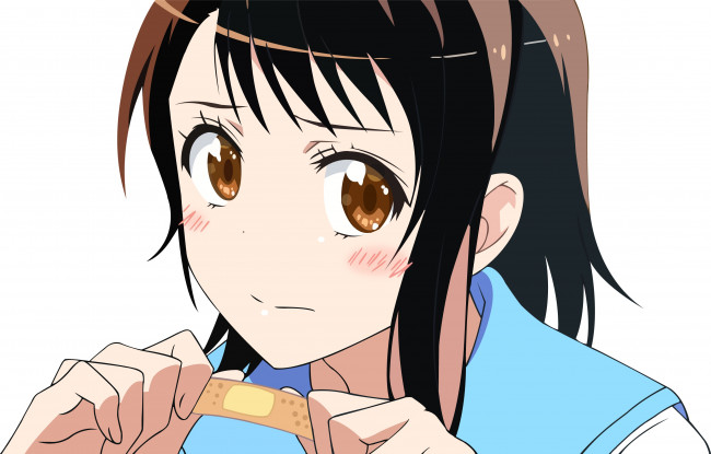 Обои картинки фото аниме, nisekoi, девушка, фон, взгляд, onodera, kosaki