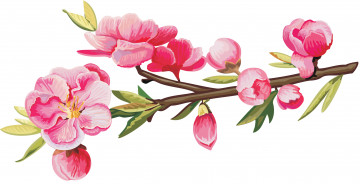 Картинка векторная+графика цветы+ flowers цветы ветка