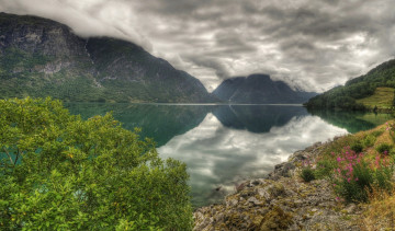 Картинка норвегия природа реки озера цветы деревья камни облака вершины озеро