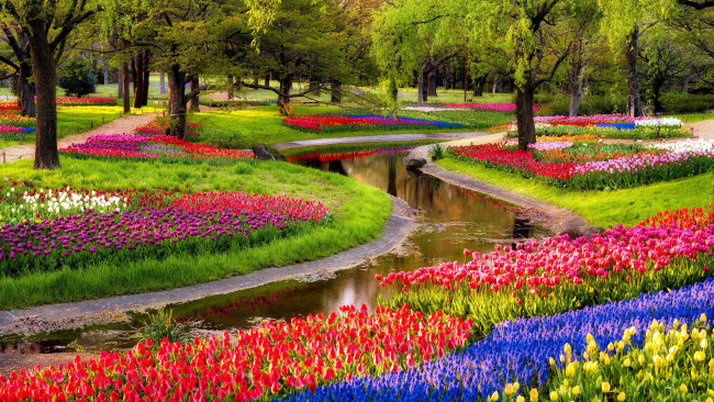 Обои картинки фото природа, парк, водоем, весна, клумбы, цветы