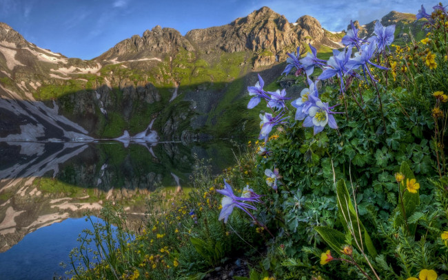 Обои картинки фото природа, горы, озеро, пейзаж, цветы