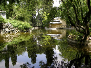 Картинка испания мадрид парк природа растения пруд мостик
