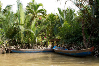 Картинка вьетнам тьензянг природа тропики река