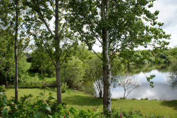 Картинка дания rоdekro природа реки озера растения озеро