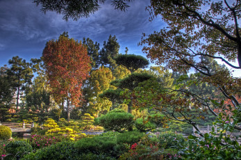 Картинка earl burns miller japanese garden california usa природа парк водоем мостики сад
