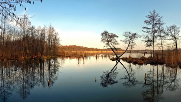 Картинка perfectly still lake природа реки озера отражение озеро деревья тишина