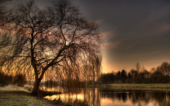 Обои картинки фото природа, восходы, закаты, деревья, река, вечер
