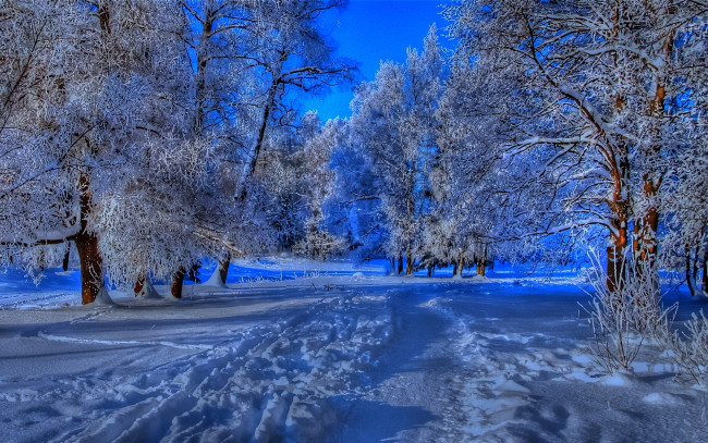 Обои картинки фото snowy, path, in, winter, природа, зима, тропинка, парк, деревья