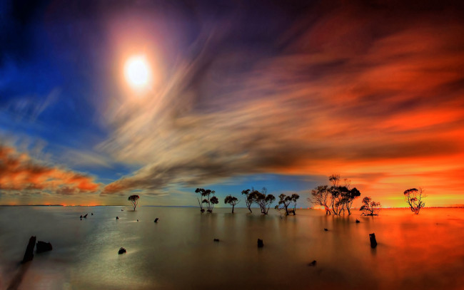 Обои картинки фото streaking, sun, природа, восходы, закаты, деревья, озеро, багровые, небеса, облака