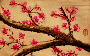 Картинка рисованные цветы сакура