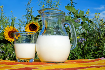 Картинка еда масло +молочные+продукты молоко подсолнухи стакан кувшин