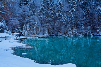 Картинка природа реки озера снег водоем деревья