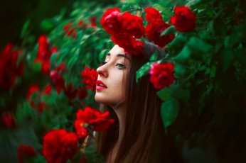 Картинка девушки -unsort+ лица +портреты девушка кусты цветы розы шатенка макияж лето профиль