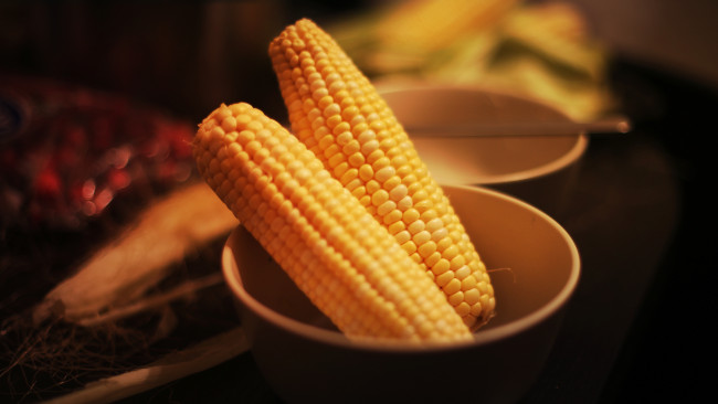 Обои картинки фото еда, кукуруза, миска, початки