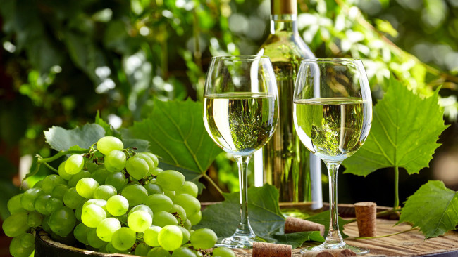 Обои картинки фото еда, напитки,  вино, вино, белое, виноград, бокалы