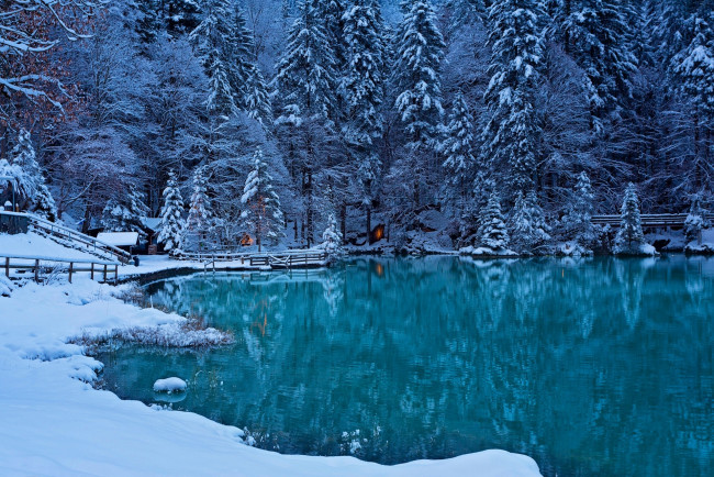 Обои картинки фото природа, реки, озера, снег, водоем, деревья