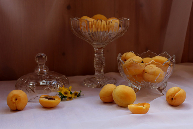 Обои картинки фото еда, персики,  сливы,  абрикосы, лето, натюрморт, абрикосы, фрукты