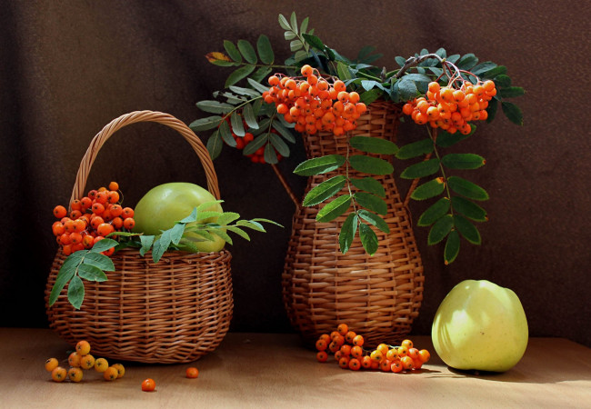 Обои картинки фото еда, натюрморт, ягоды, яблоки, фрукты, рябина, лето
