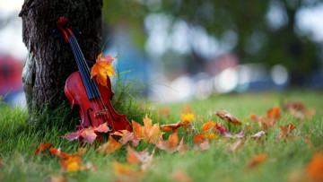 обоя музыка, -музыкальные инструменты, скрипка, листья, природа, растения, дерево