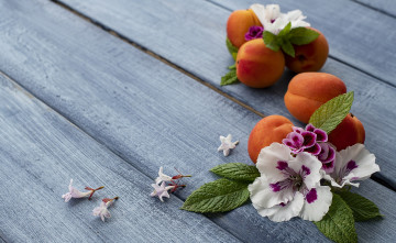 Картинка еда персики +сливы +абрикосы абрикос фон голубой цветы