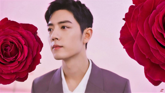 Обои картинки фото мужчины, xiao zhan, актер, лицо, розы