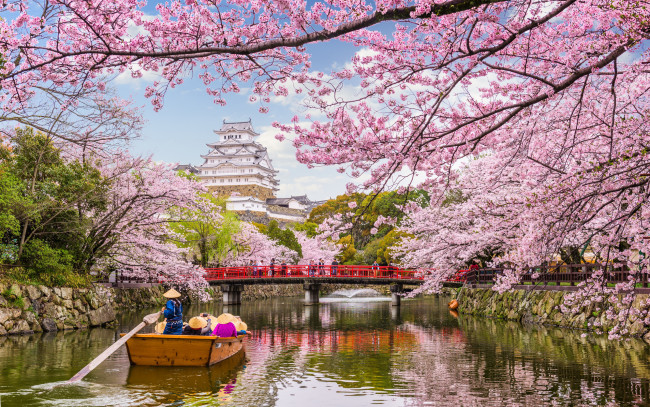 Обои картинки фото города, токио , япония, весна, вода, деревья, сакуры, туризм, водный, путь