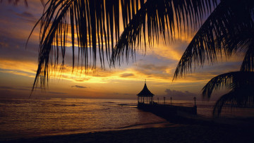 Картинка природа восходы закаты облака вечер пальмы море