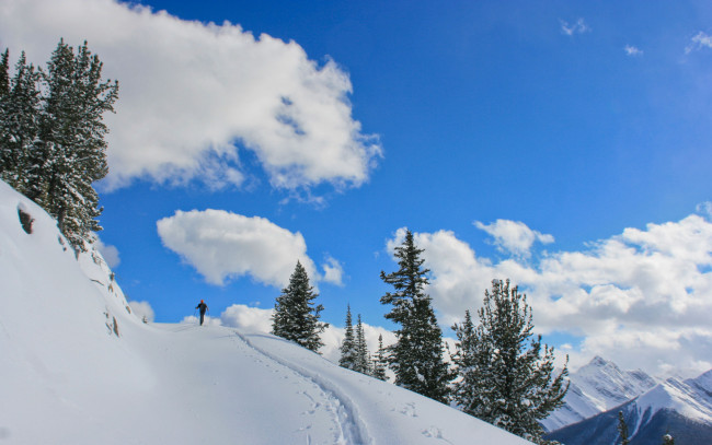 Обои картинки фото banff, national, park, природа, зима, снег, лыжня, ель