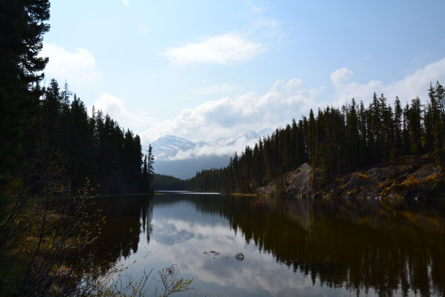 Обои картинки фото virl, lake, jasper, national, park, природа, реки, озера, озеро, лес