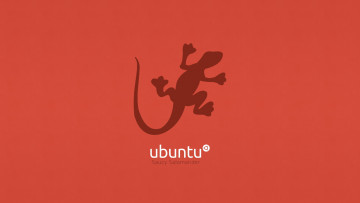 обоя компьютеры, ubuntu, linux, ящерица