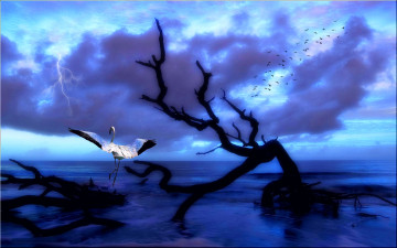Картинка 3д графика nature landscape природа океан дерево птицы фламинго тучи молния